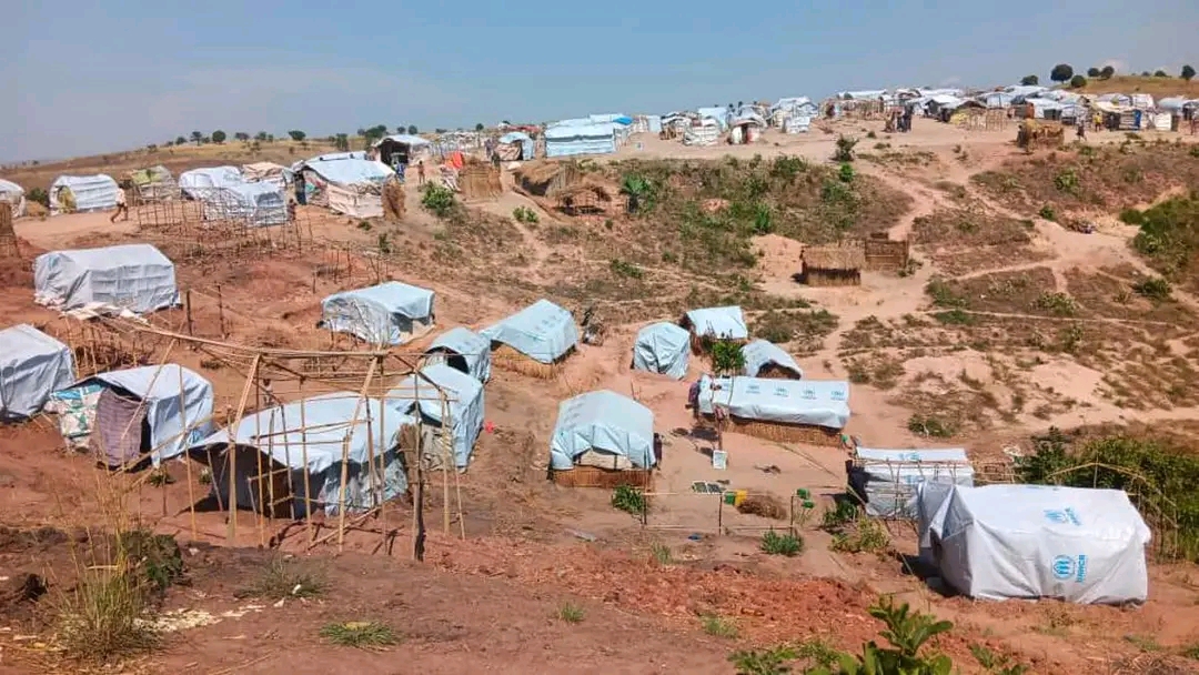 RDC: près de 19 000 ménages déplacés en détresse humanitaire alarmante au Nord-Kivu